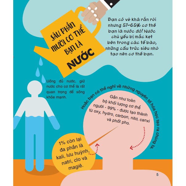 micro facts! 500 fantastic facts about your body - cùng bé khám phá 500 điều thú vị về cơ thể người - Ảnh 4