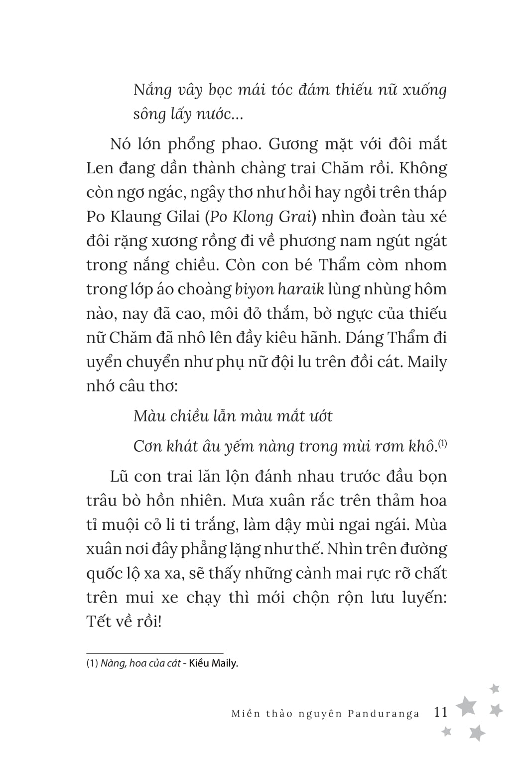 Miền Thảo Nguyên Panduranga - Ảnh 14