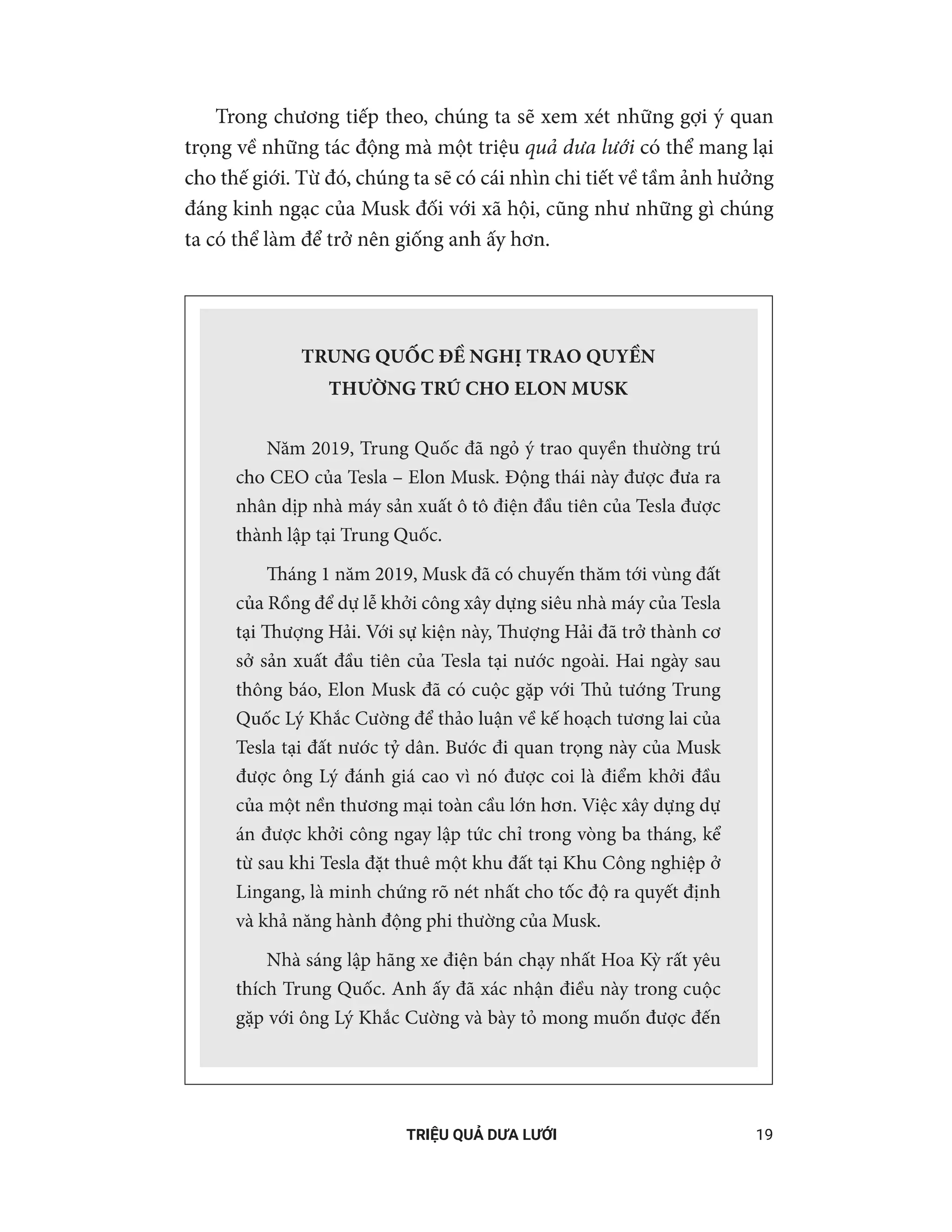 million muskmelons - triệu quả dưa lưới - Ảnh 14