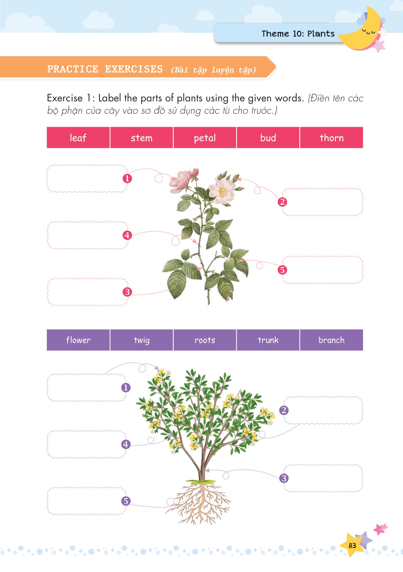mind map - từ vựng tiếng anh cho học sinh tiểu học - Ảnh 12