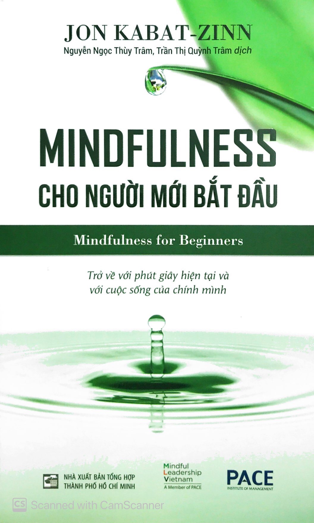 mindfullness cho người mới bắt đầu - Ảnh 2