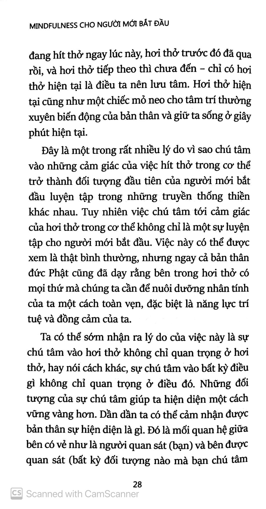 mindfullness cho người mới bắt đầu - Ảnh 7