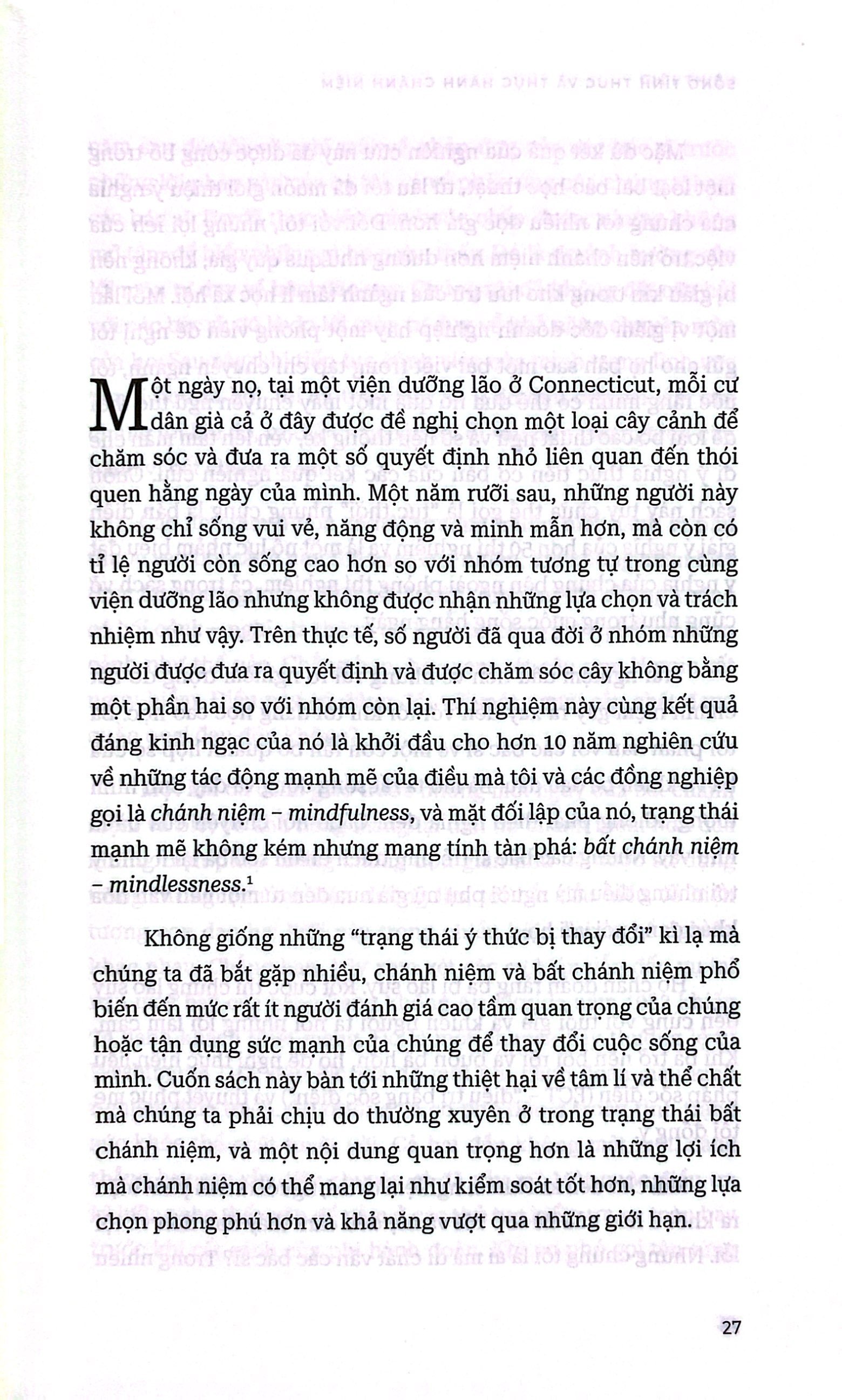 mindfulness - sống tỉnh thức và thực hành chánh niệm - Ảnh 6