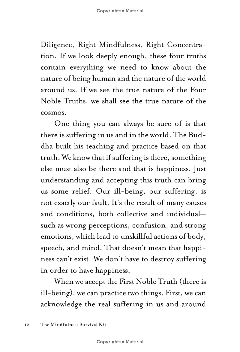 mindfulness survival kit : five essential practices - Ảnh 10
