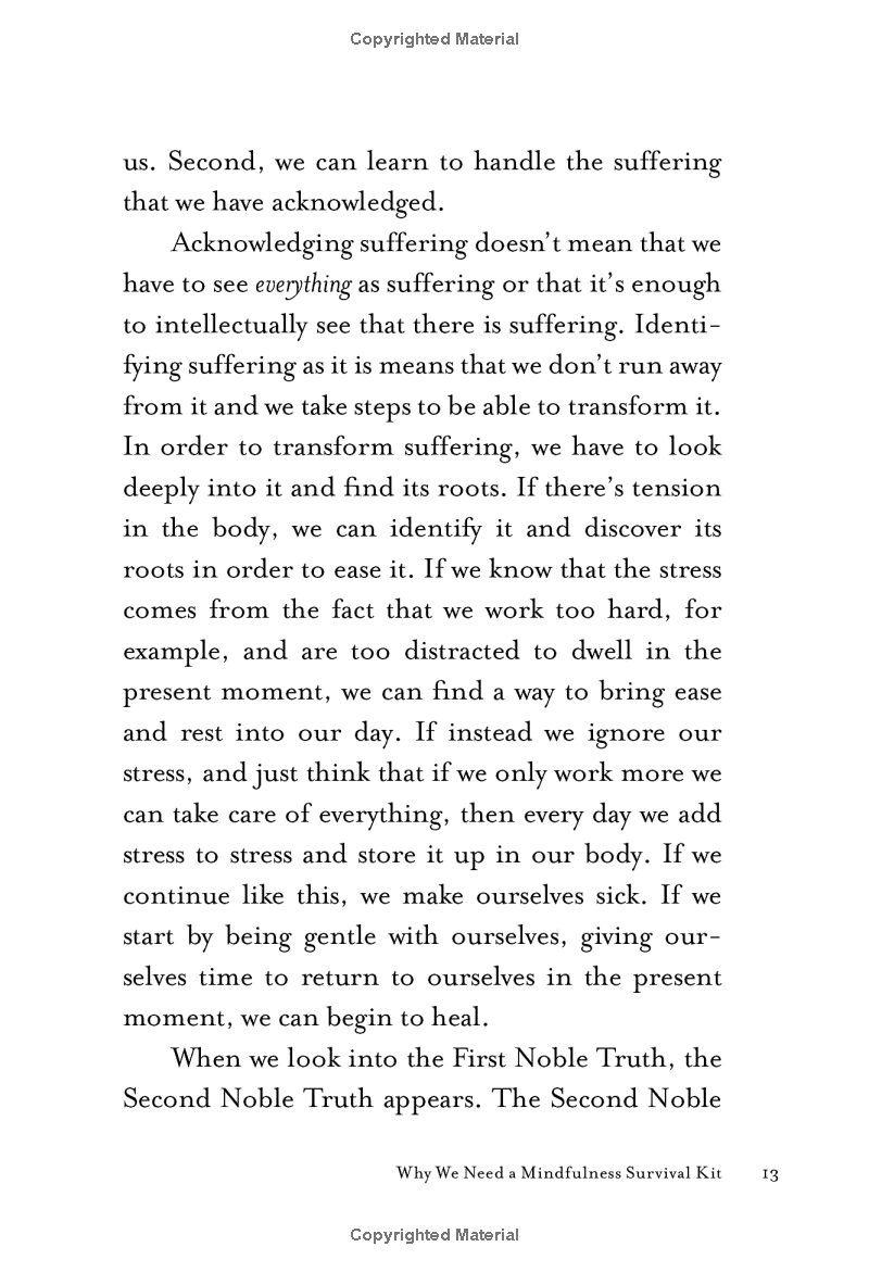 mindfulness survival kit : five essential practices - Ảnh 11