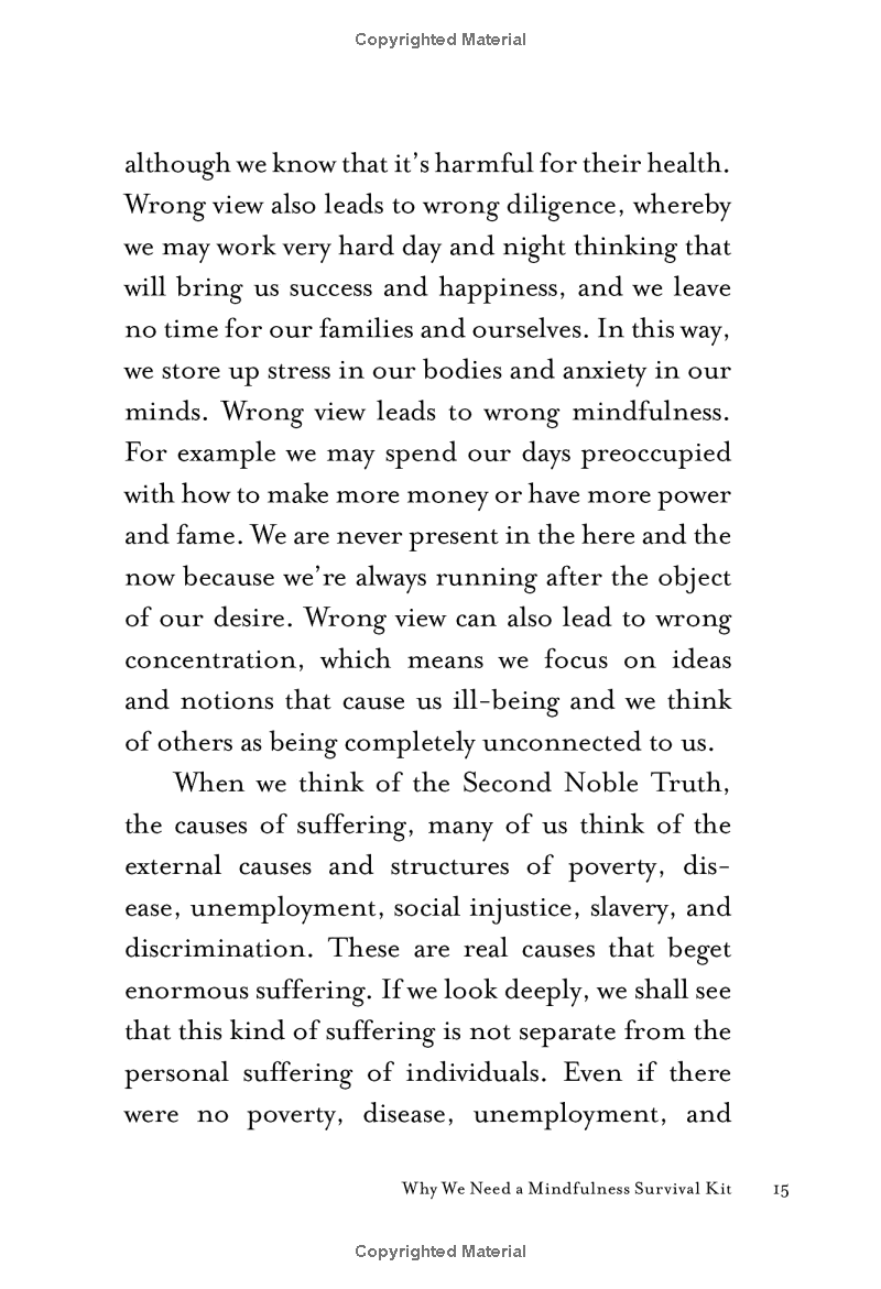 mindfulness survival kit : five essential practices - Ảnh 13
