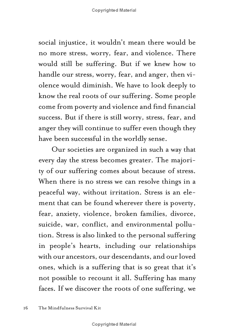 mindfulness survival kit : five essential practices - Ảnh 14