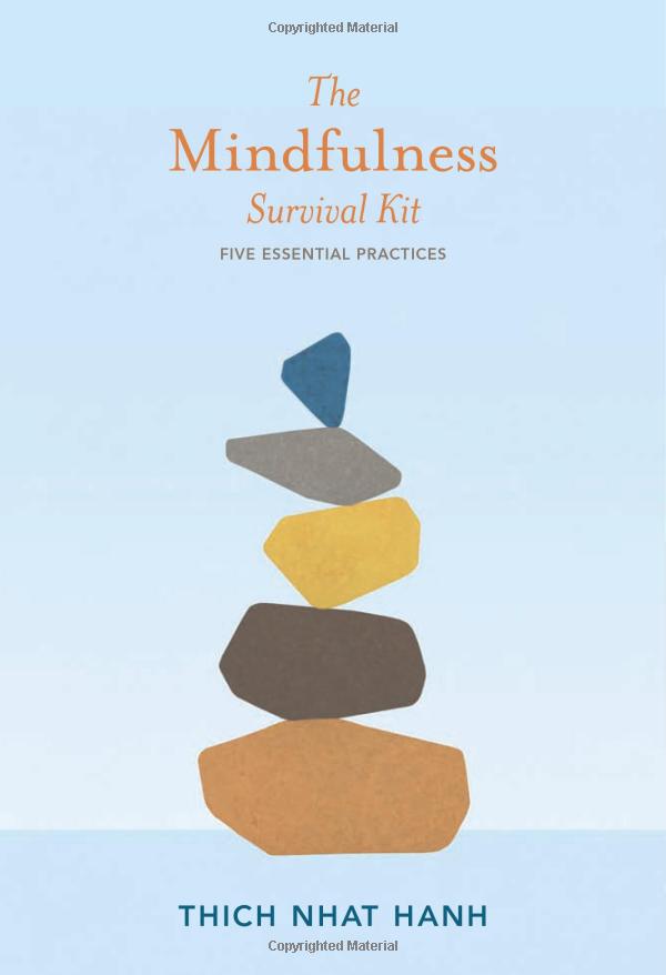mindfulness survival kit : five essential practices - Ảnh 2