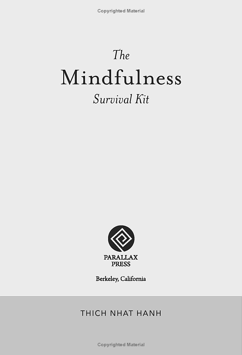 mindfulness survival kit : five essential practices - Ảnh 4
