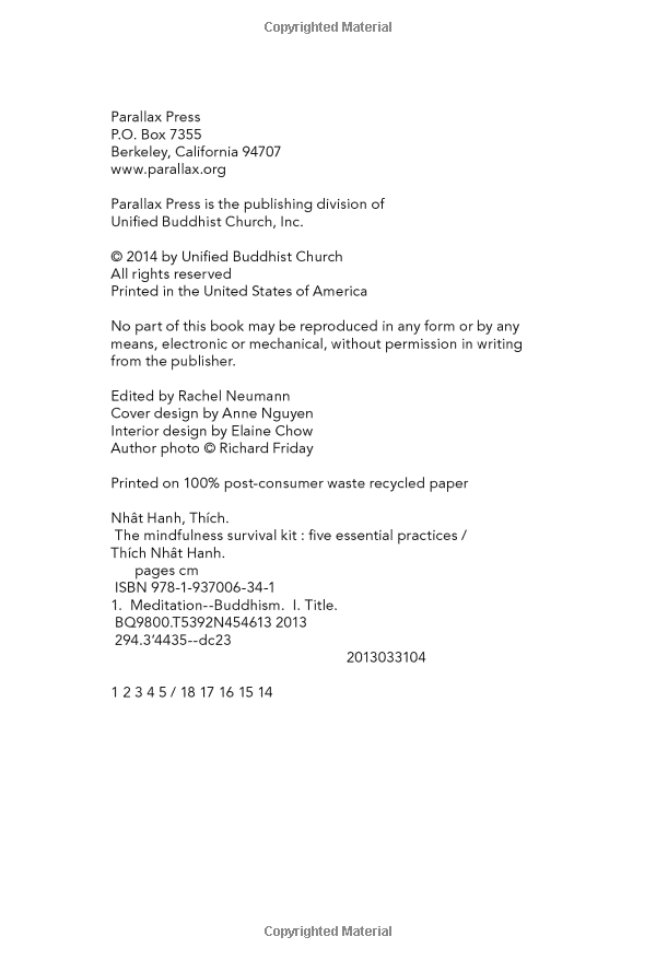 mindfulness survival kit : five essential practices - Ảnh 5