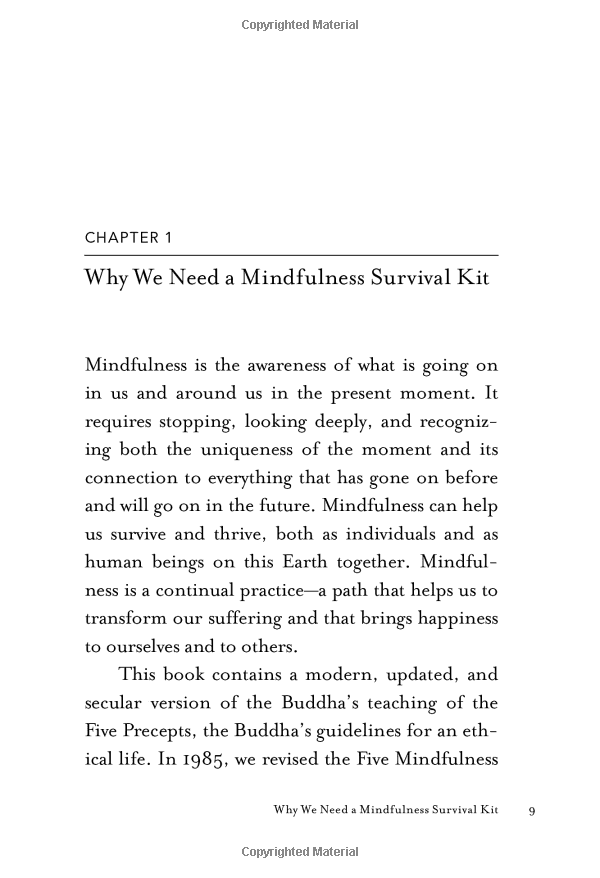 mindfulness survival kit : five essential practices - Ảnh 7