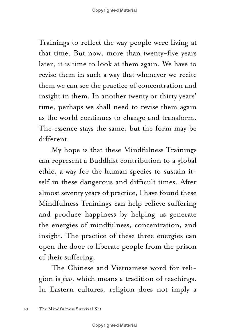 mindfulness survival kit : five essential practices - Ảnh 8
