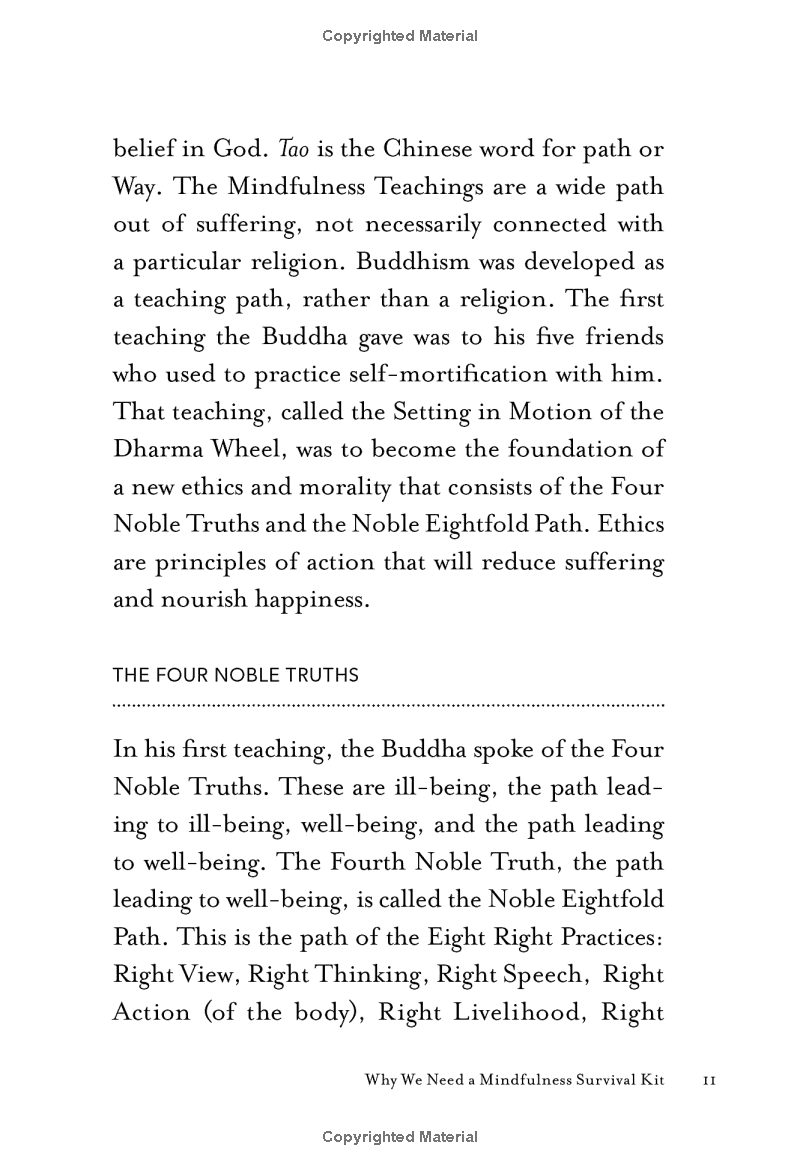 mindfulness survival kit : five essential practices - Ảnh 9