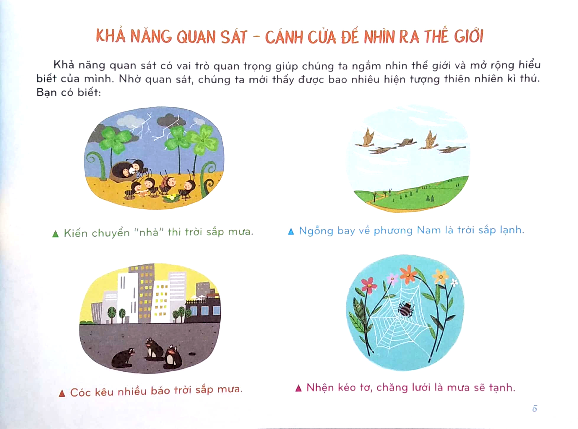 mindmap for kids - chơi hay, học vui với sơ đồ tư duy - khả năng quan sát - Ảnh 5