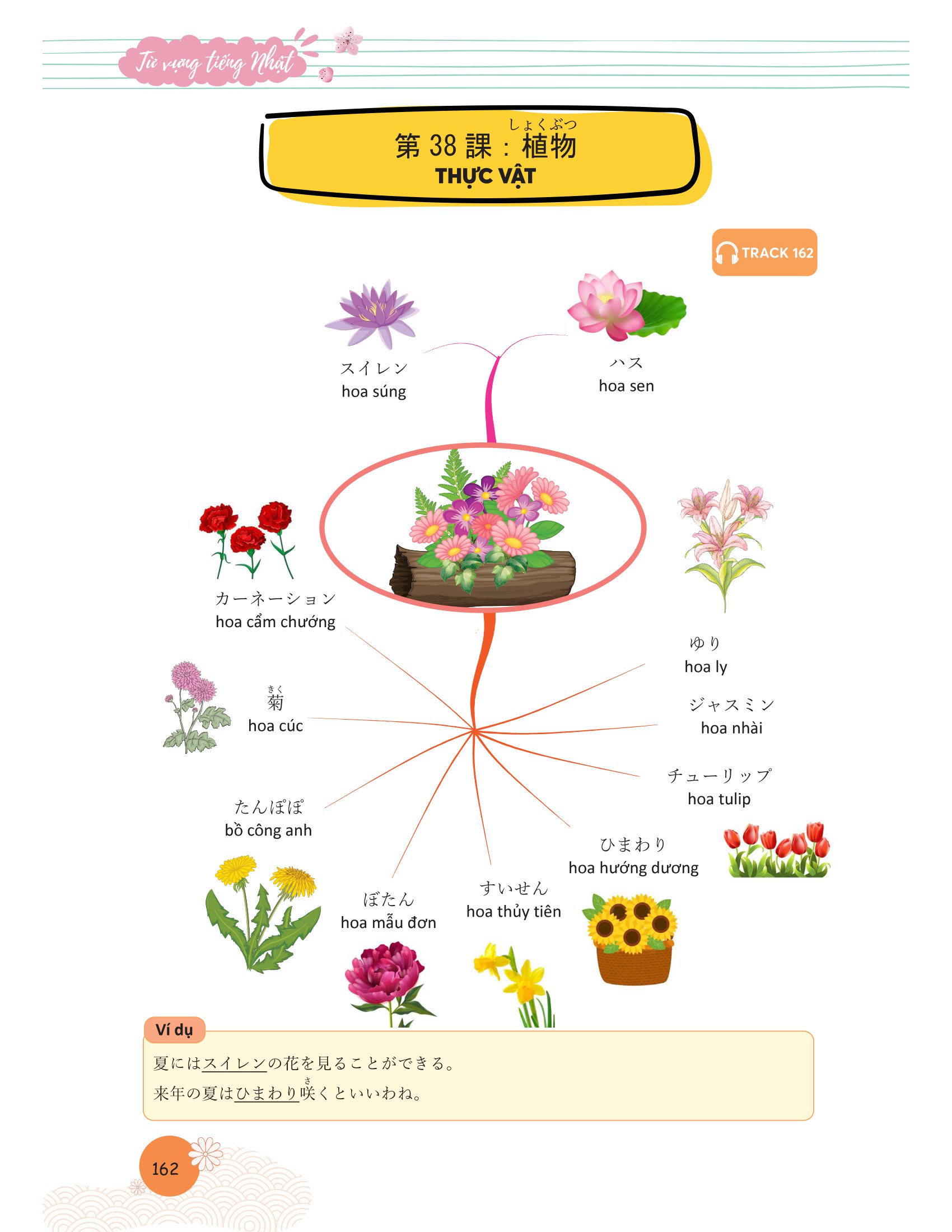 mindmap từ vựng tiếng nhật - học từ vựng tiếng nhật qua sơ đồ tư duy - Ảnh 12
