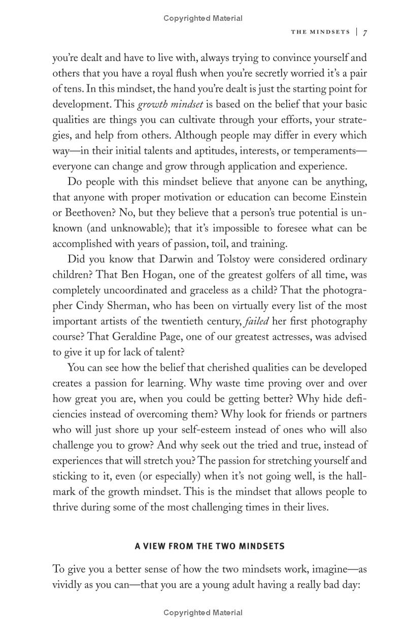 mindset: the new psychology of success - Ảnh 10