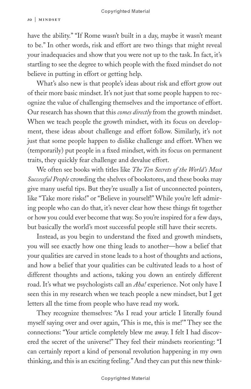mindset: the new psychology of success - Ảnh 13