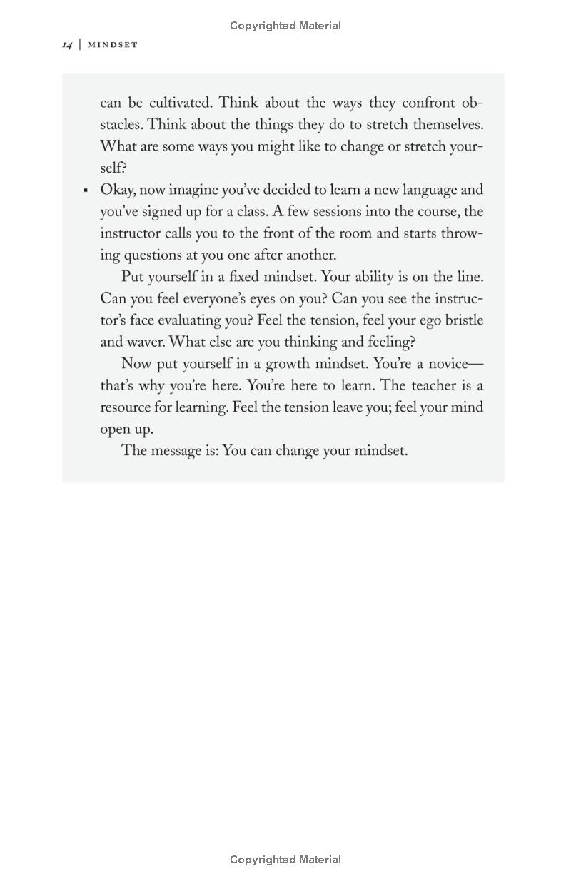 mindset: the new psychology of success - Ảnh 16
