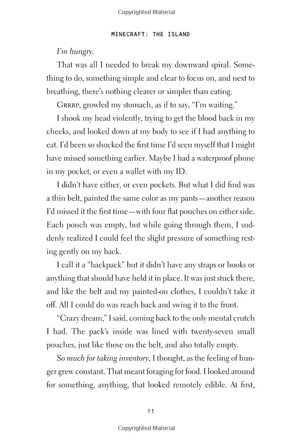 minecraft: the island: an official minecraft novel - Ảnh 14