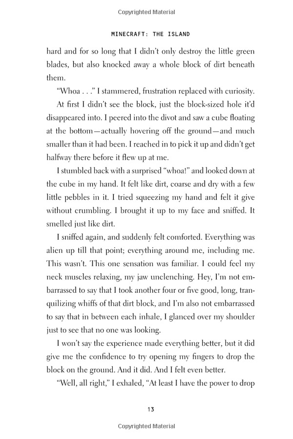 minecraft: the island: an official minecraft novel - Ảnh 16