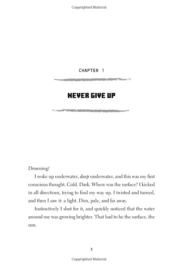 minecraft: the island: an official minecraft novel - Ảnh 7