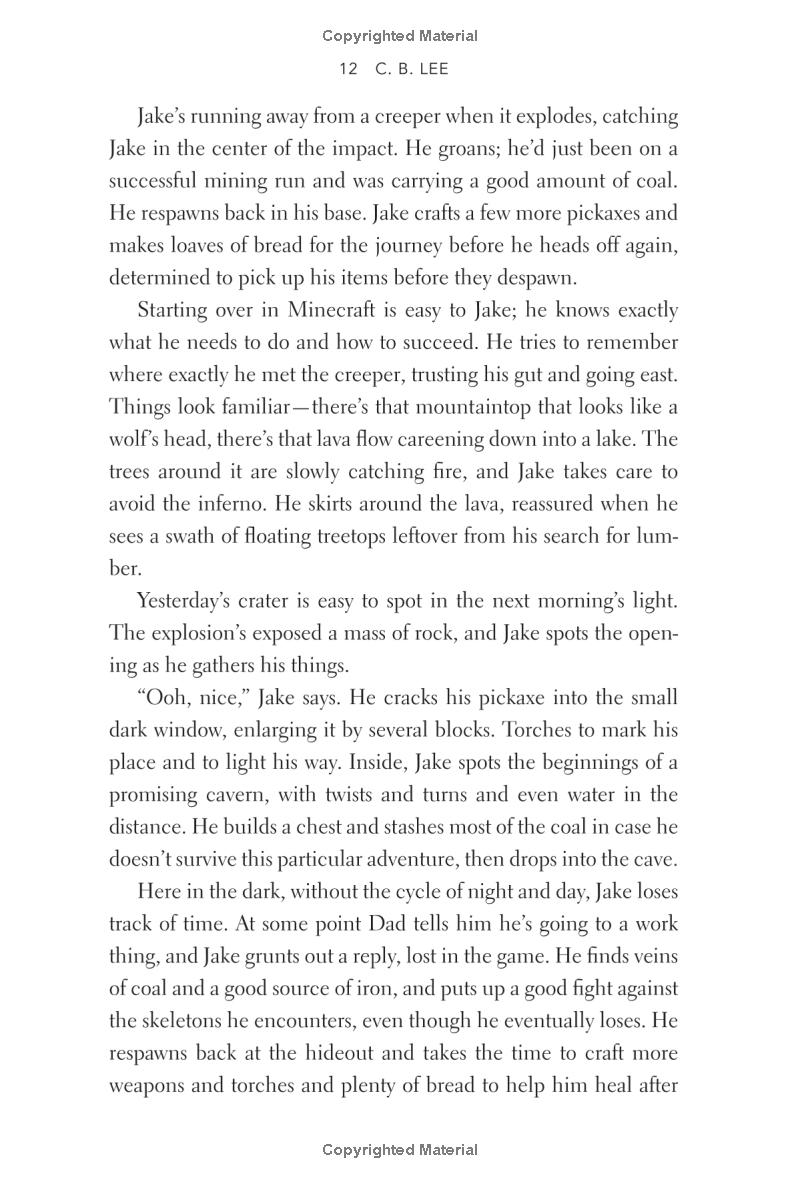 minecraft: the shipwreck - Ảnh 14