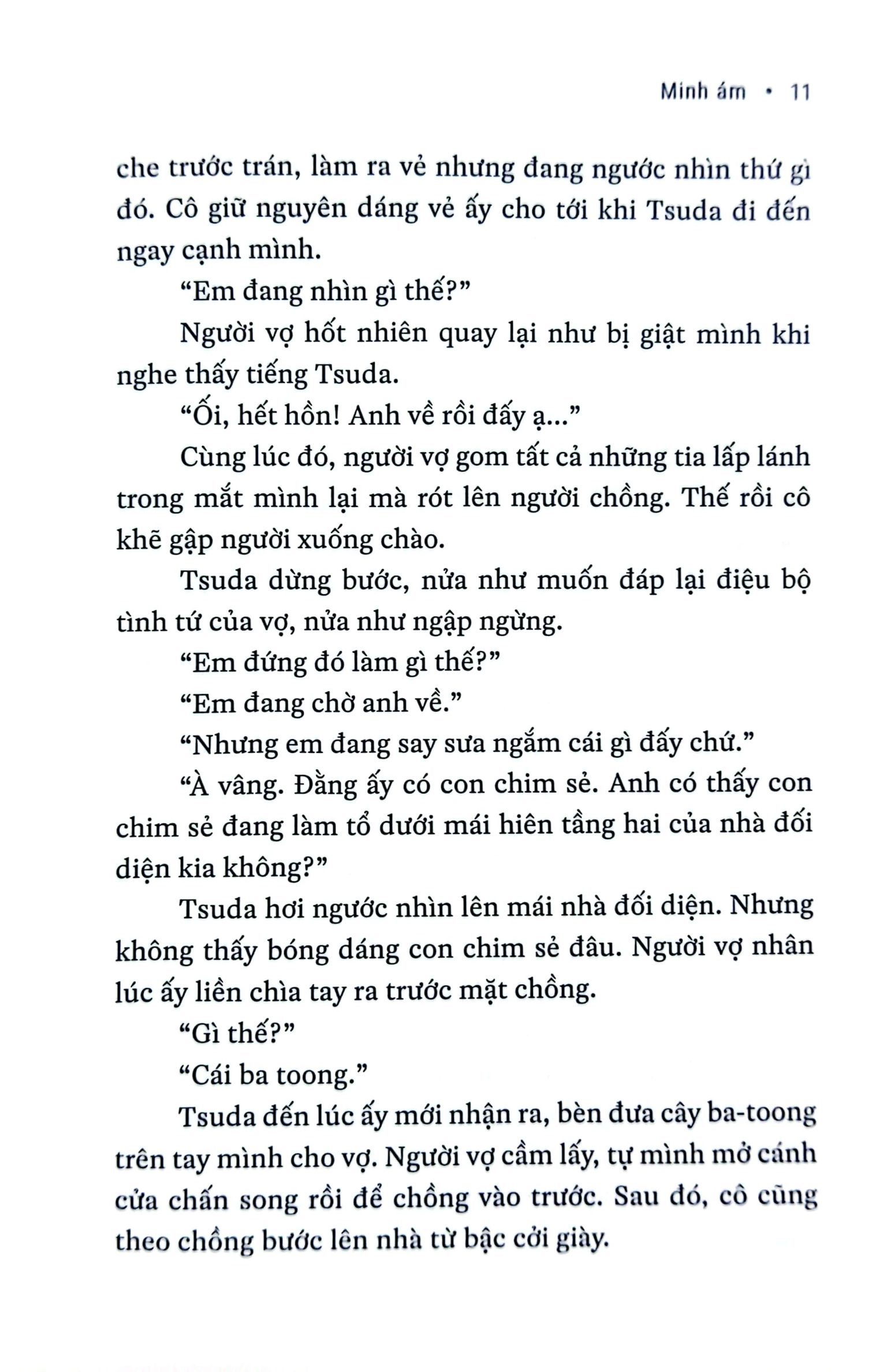 minh ám - bìa cứng - Ảnh 10