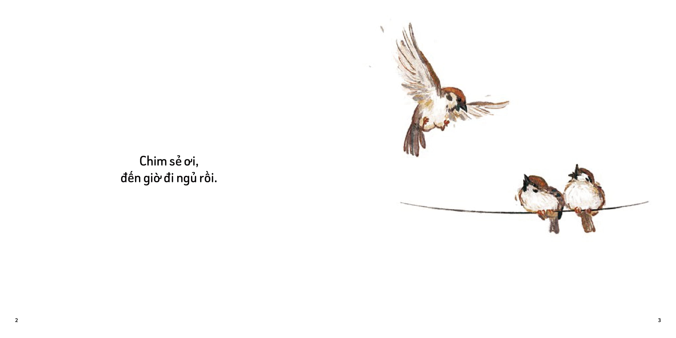 mình cùng làm nhé - mơ giấc mơ đẹp - Ảnh 2