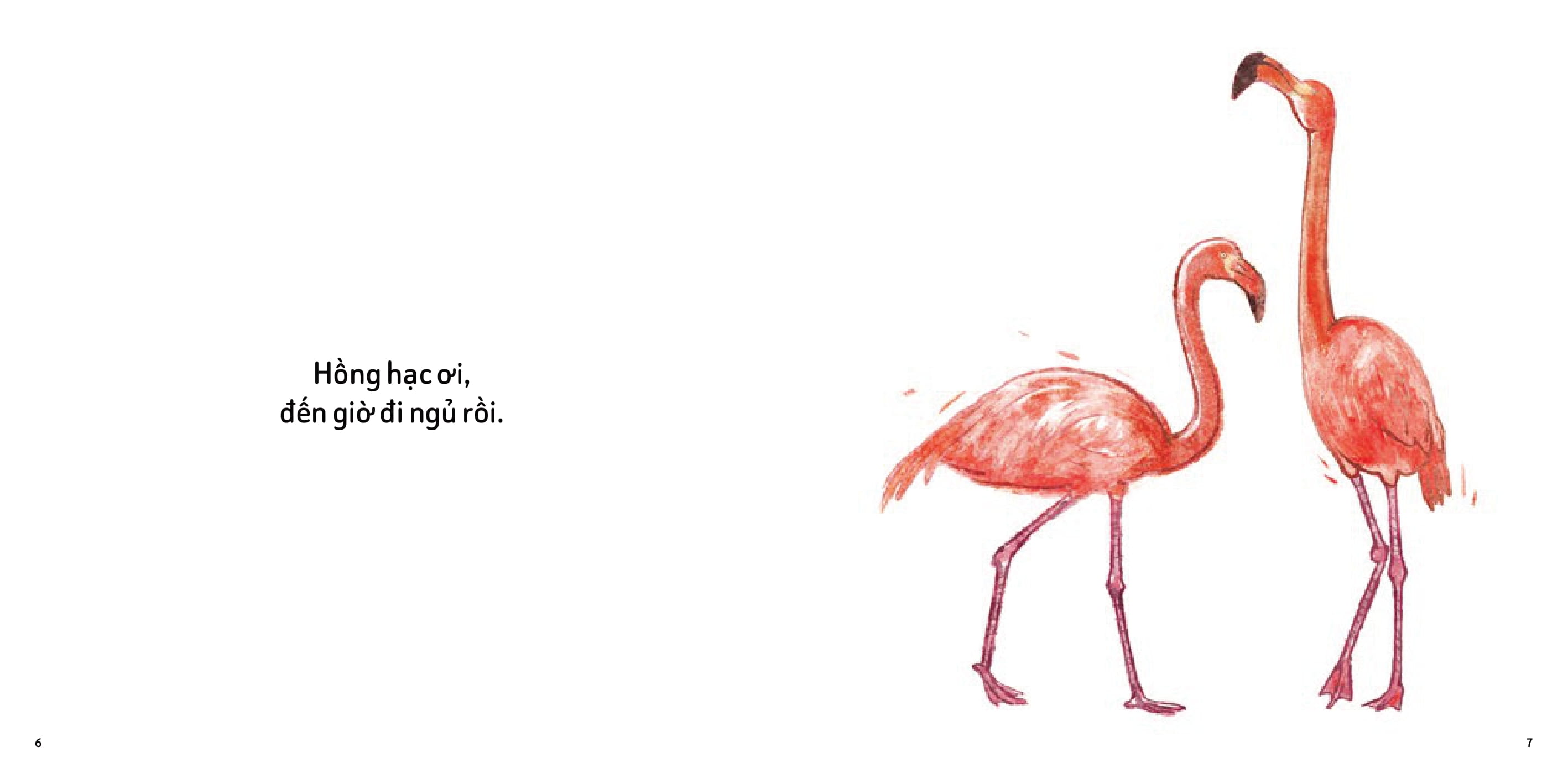 mình cùng làm nhé - mơ giấc mơ đẹp - Ảnh 4