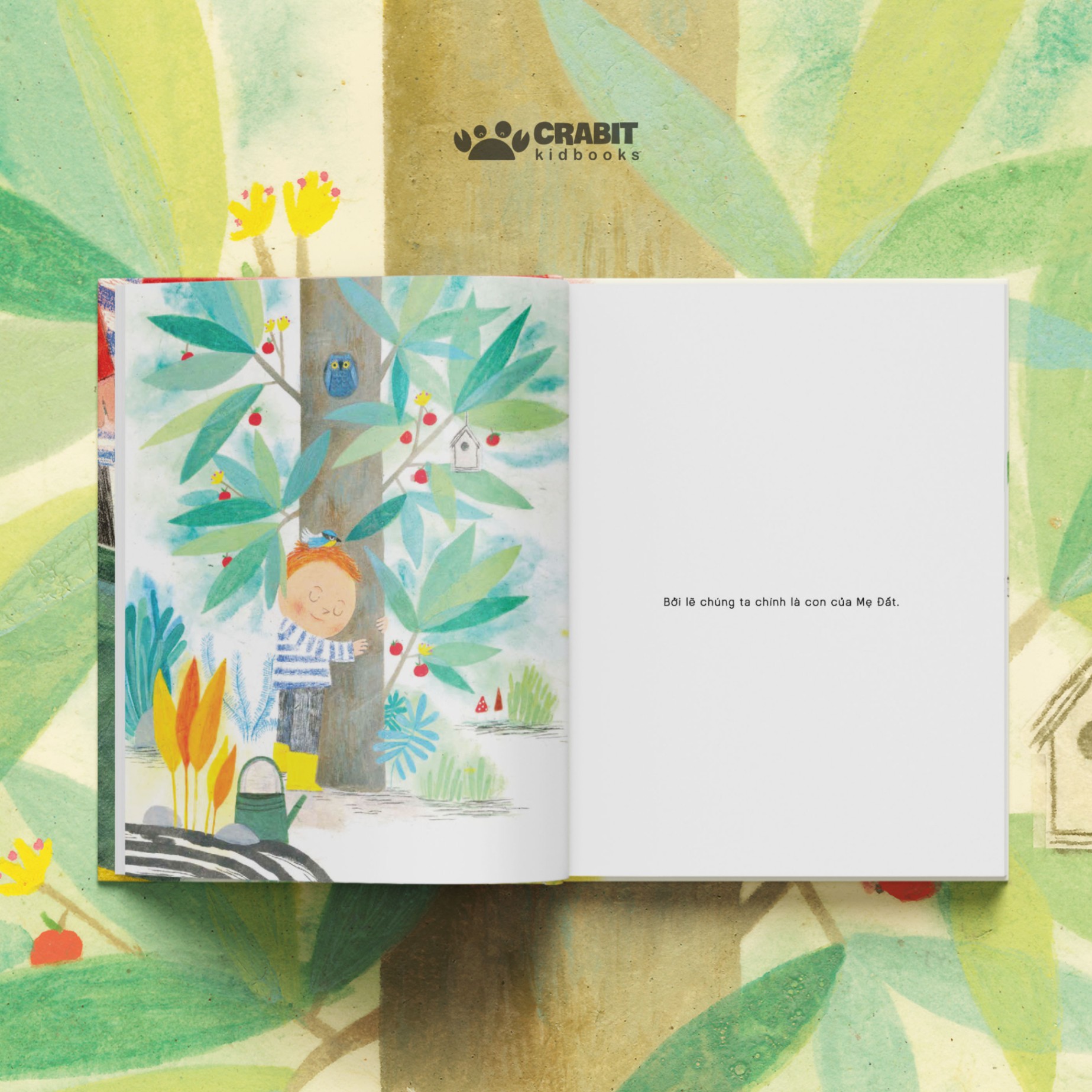 mình là một cái cây - bìa cứng - Ảnh 7