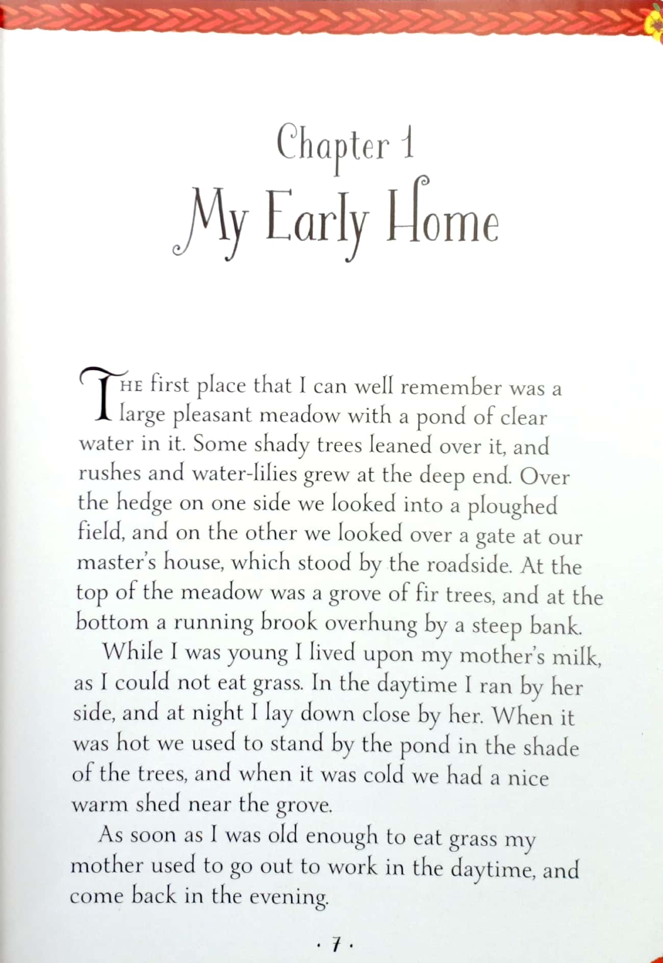 mini classics - black beauty - Ảnh 5