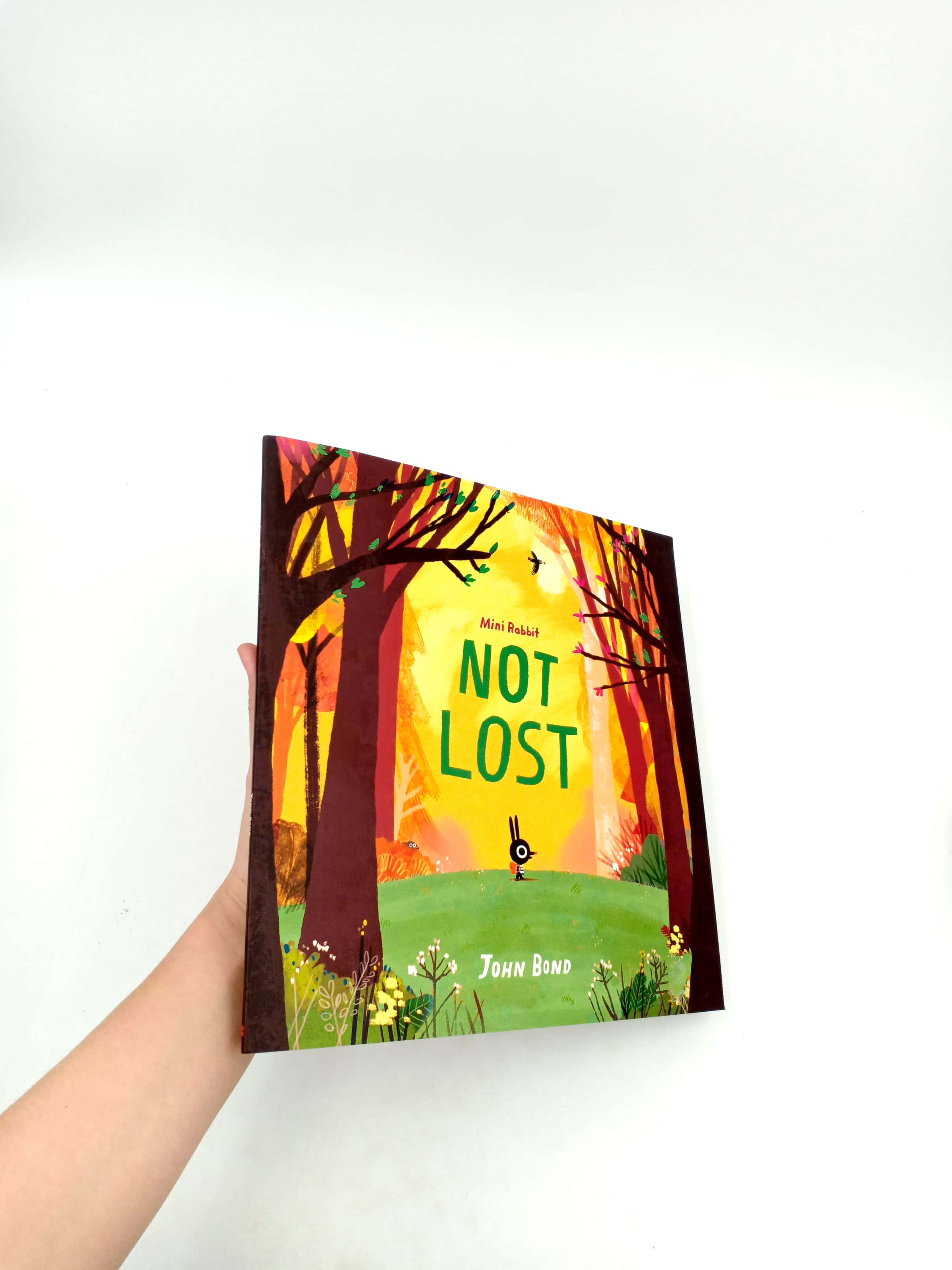 mini rabbit not lost (mini rabbit) - Ảnh 10