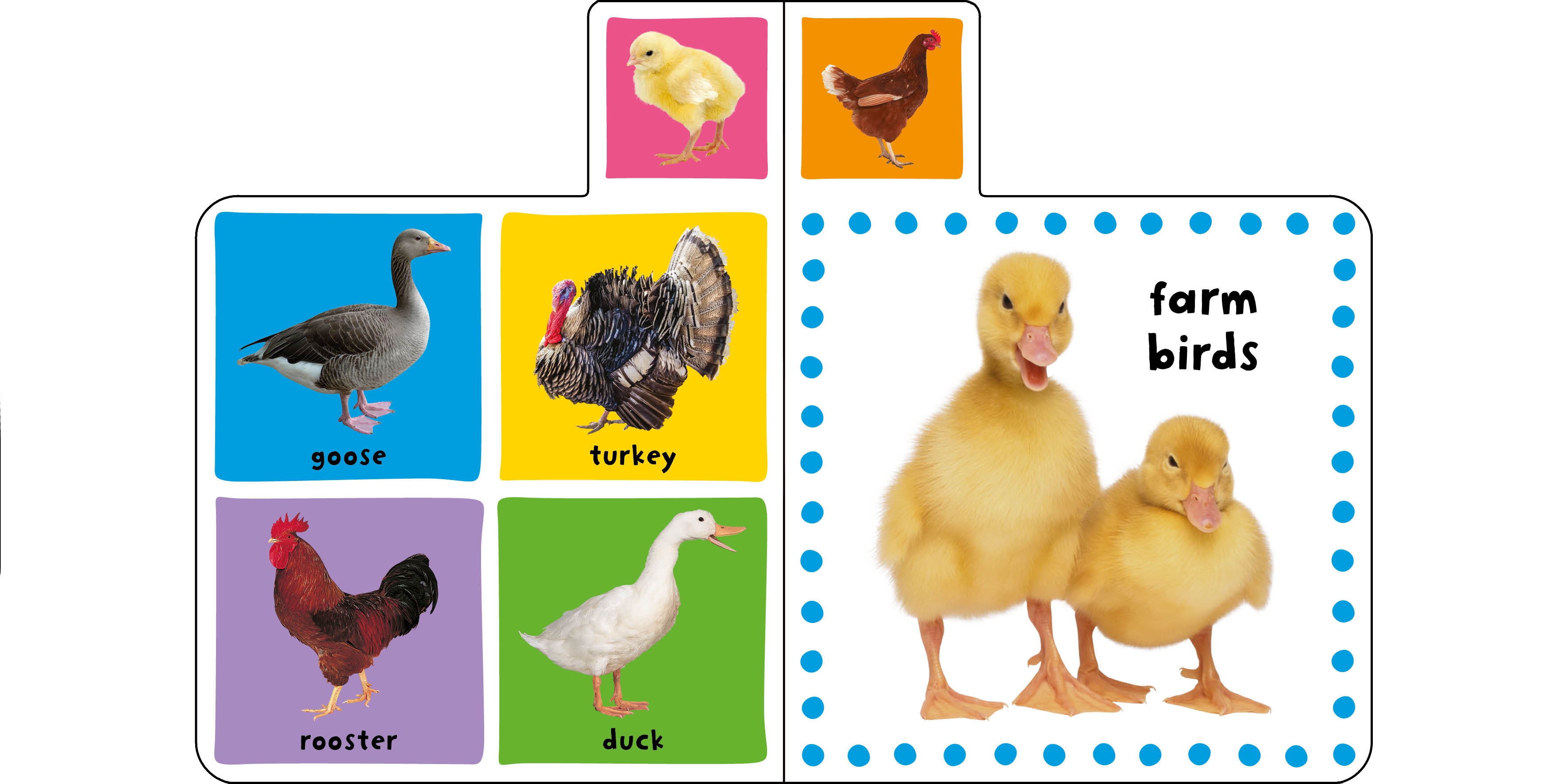 mini tab books: farm - Ảnh 3