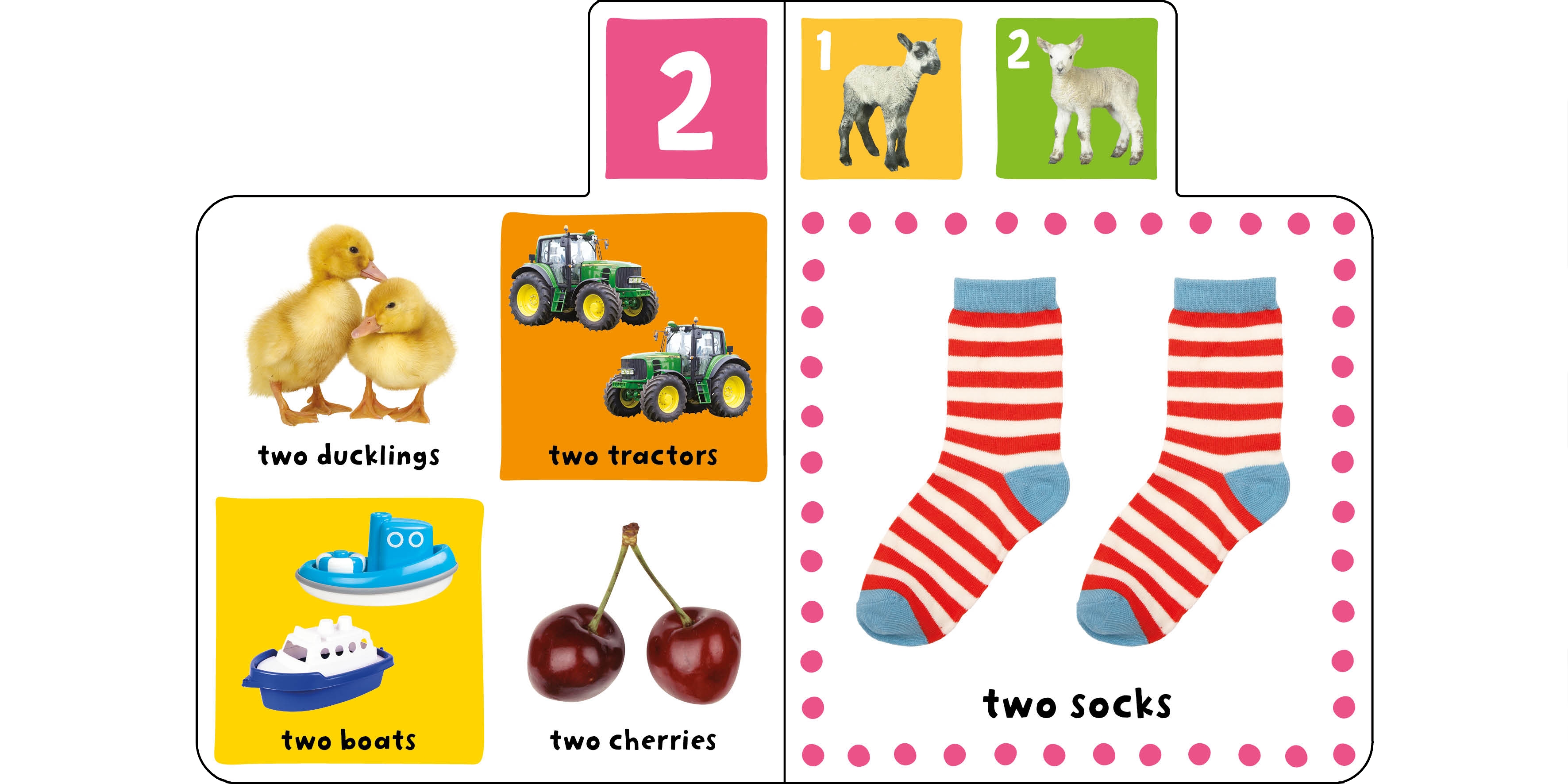 mini tab books: numbers - Ảnh 3