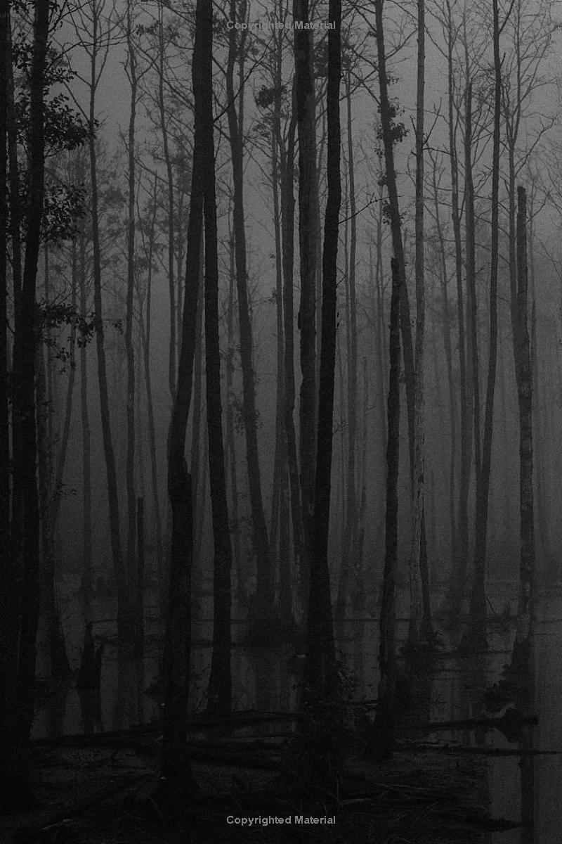 mirror girls - Ảnh 7