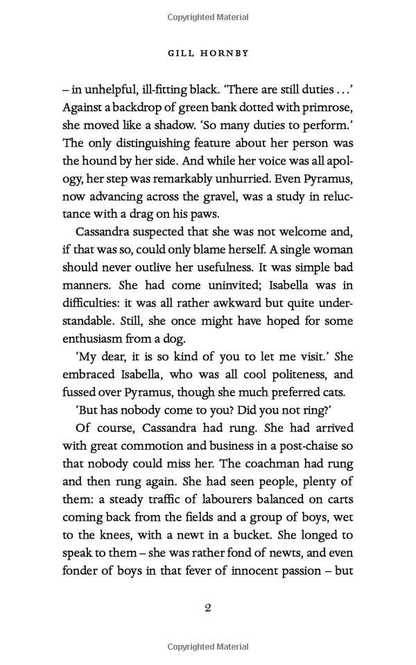 miss austen - Ảnh 11