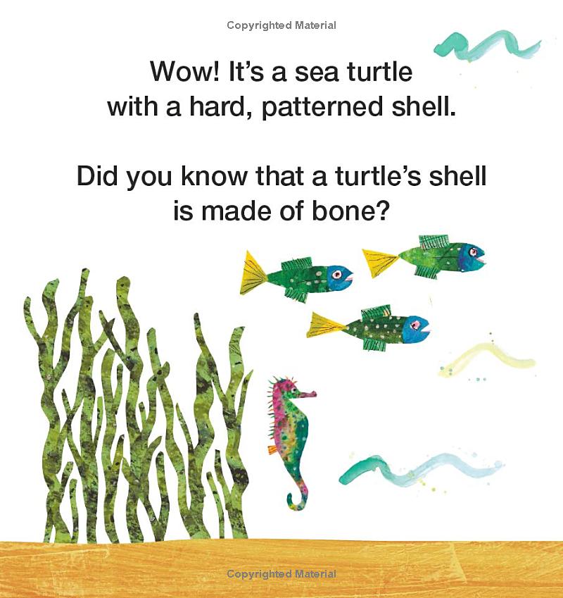 mister seahorse's ocean friends - Ảnh 7