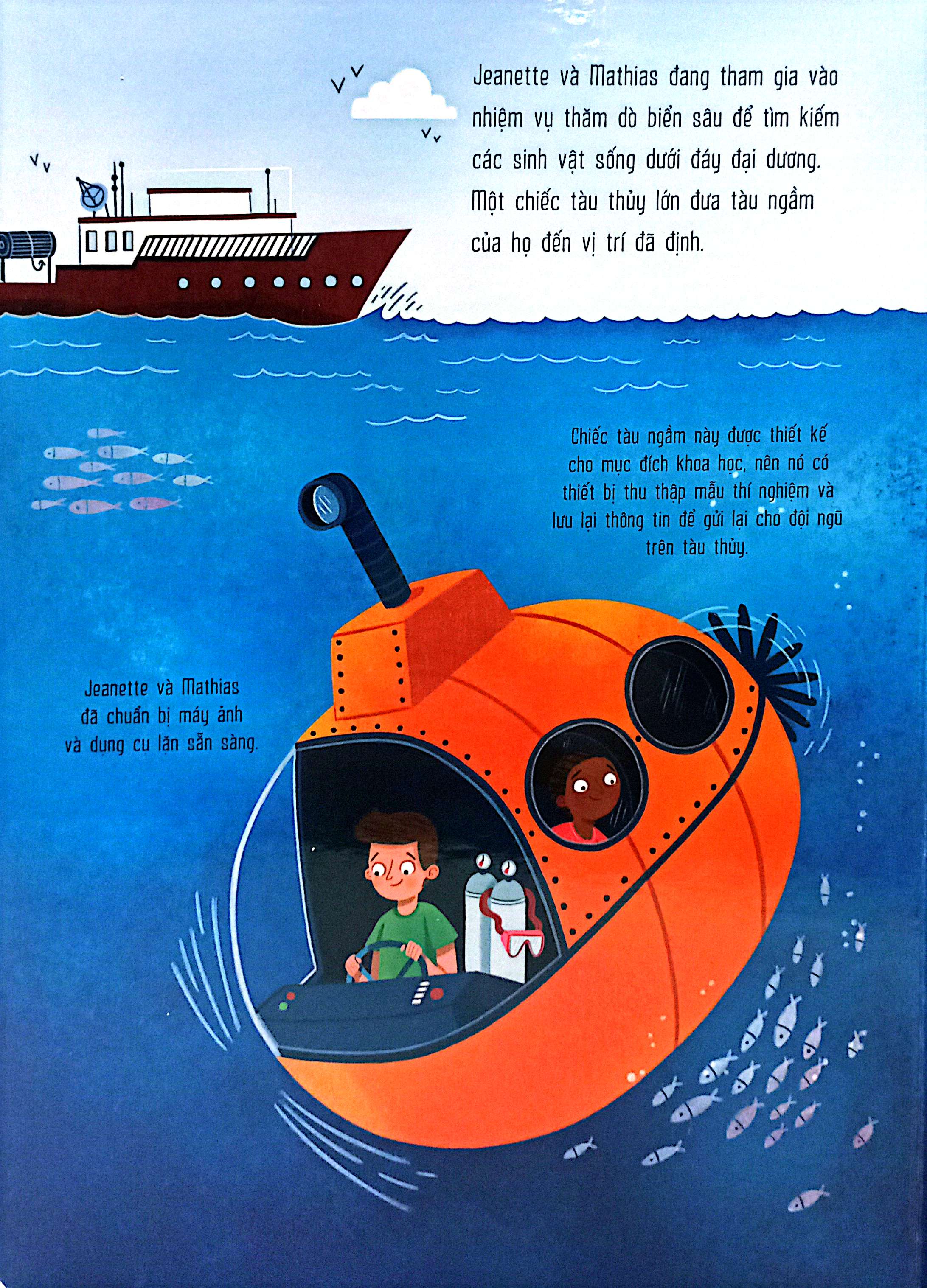 mô hình động - dưới đáy biển - Ảnh 3