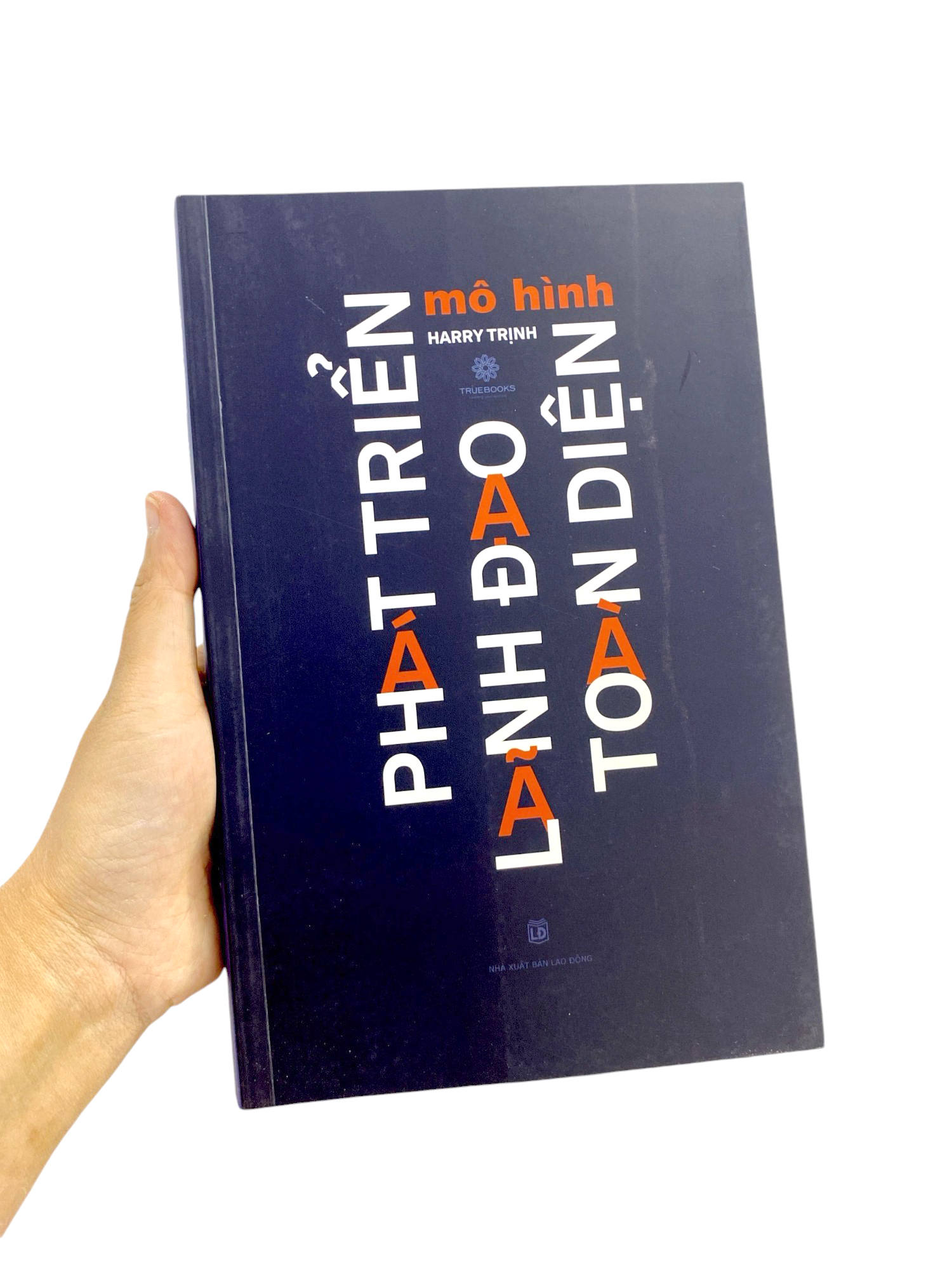 mô hình phát triển lãnh đạo toàn diện - Ảnh 12