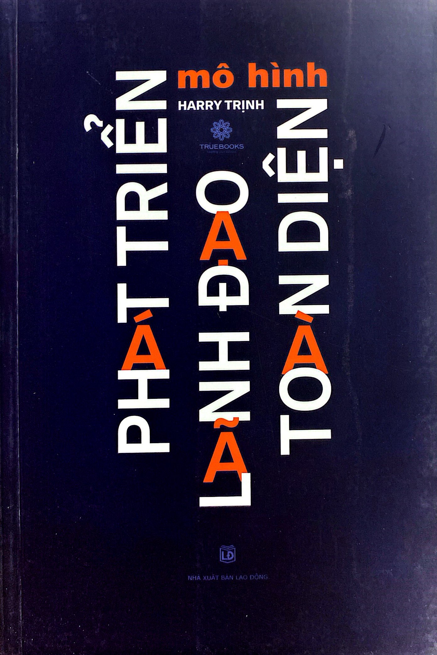mô hình phát triển lãnh đạo toàn diện - Ảnh 2