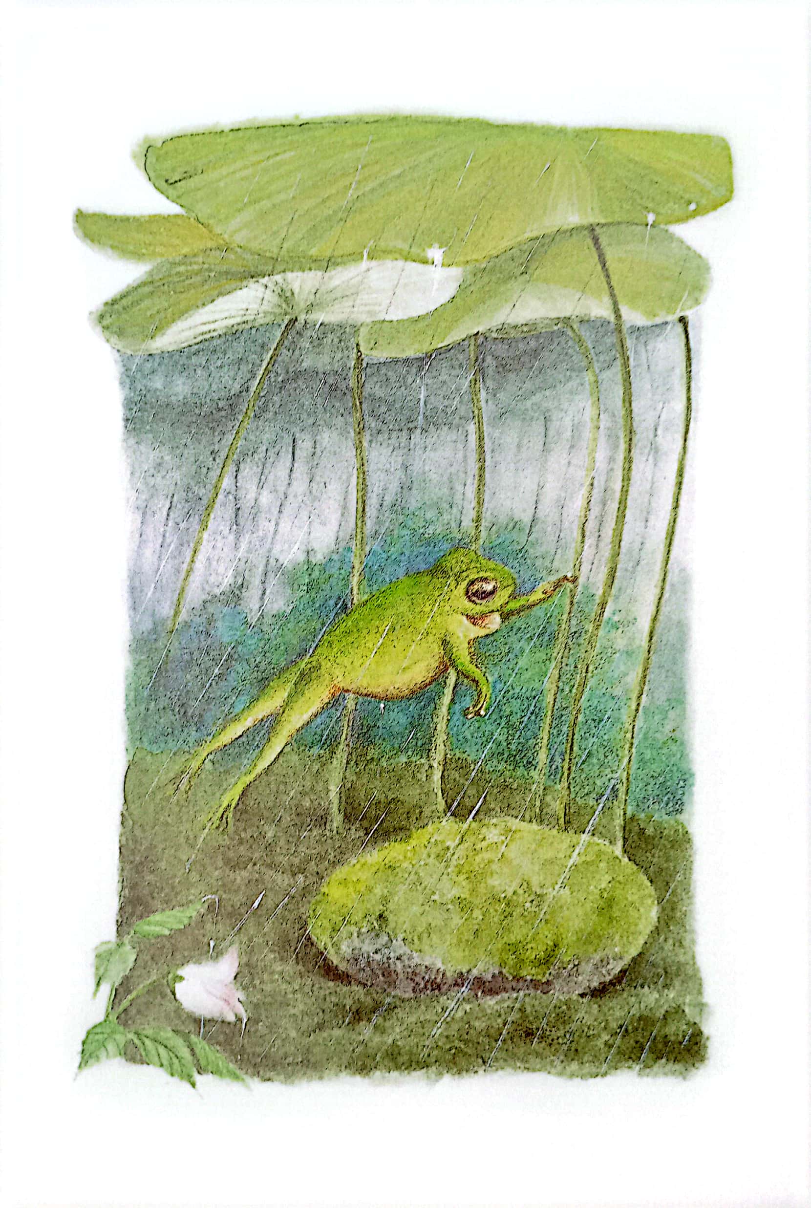 mogu mọt sách - loạt truyện mèo dayan - bữa tiệc ngày thứ năm mưa - Ảnh 5