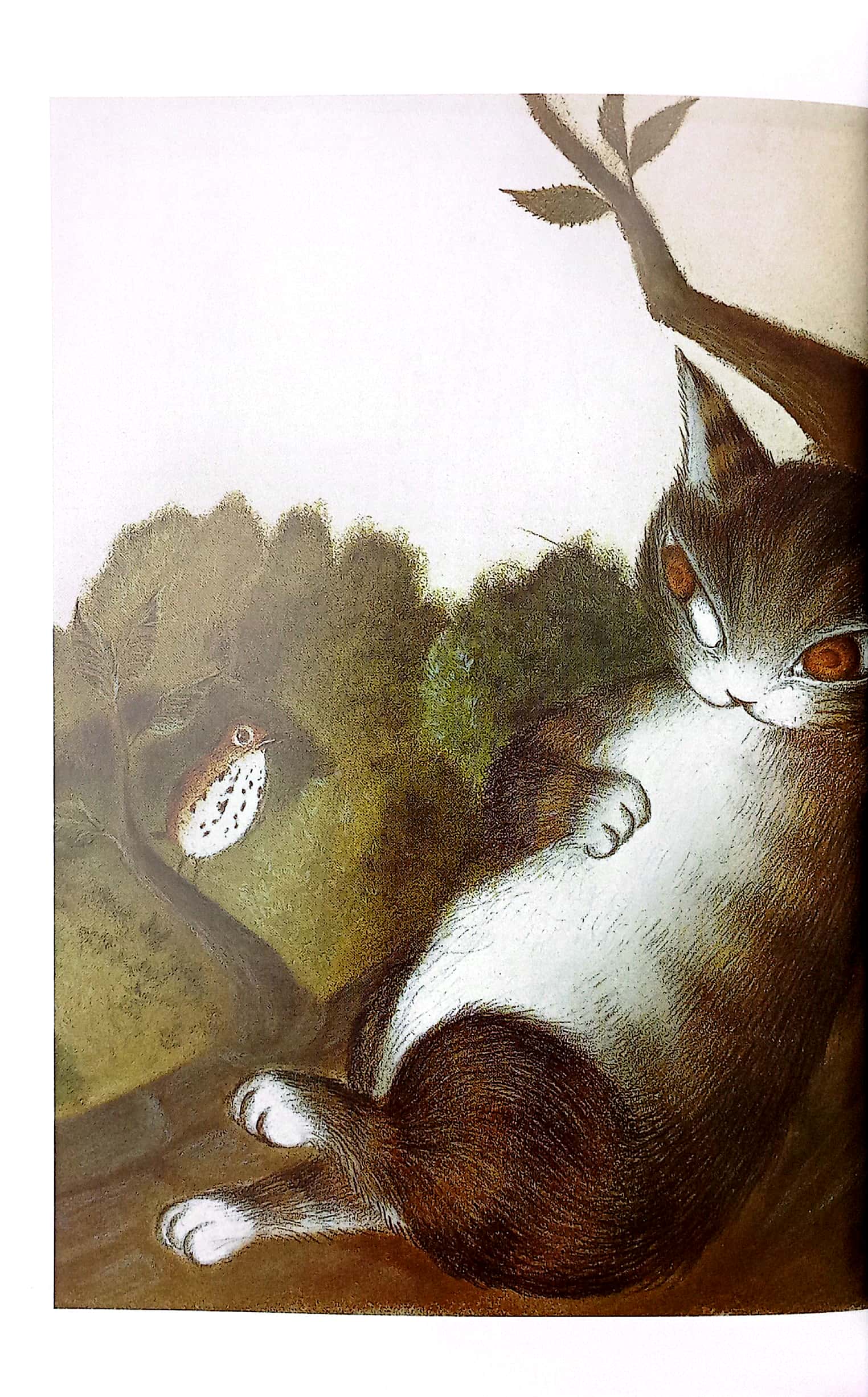 mogu mọt sách - loạt truyện mèo dayan - giấc mơ ngon lành của dayan - Ảnh 5