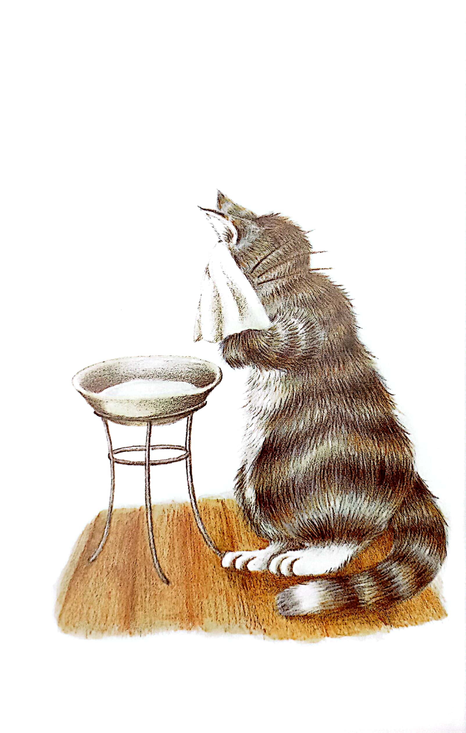 mogu mọt sách - loạt truyện mèo dayan - sinh nhật của dayan - Ảnh 5