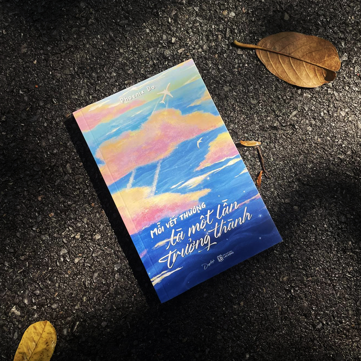 mỗi vết thương là một lần trưởng thành - Ảnh 4