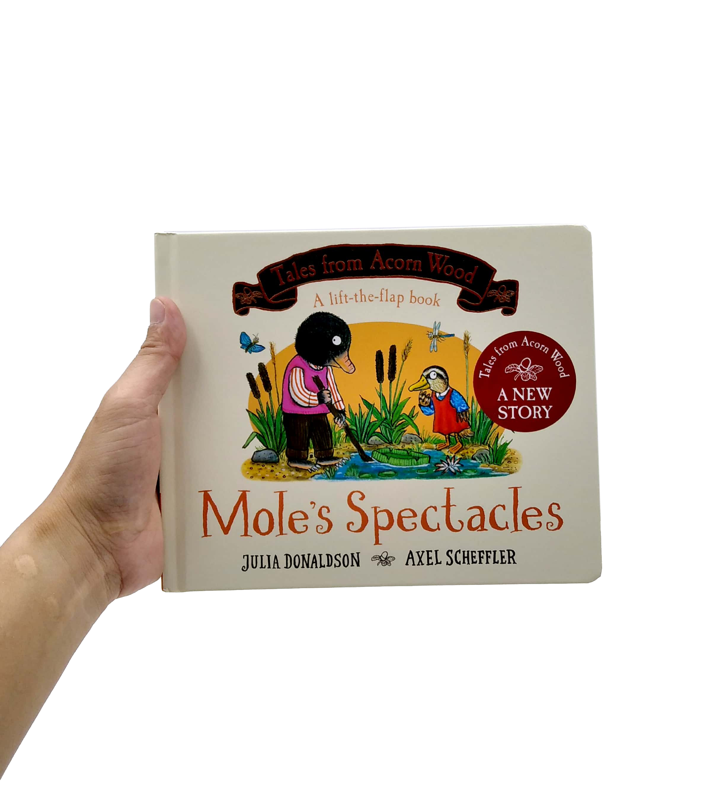 mole's spectacles - Ảnh 7