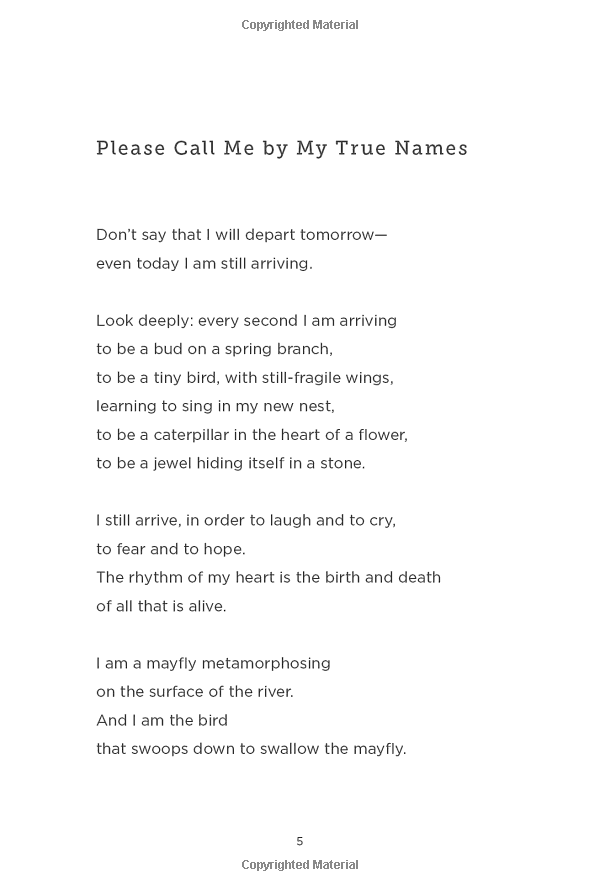 moments of mindfulness: daily inspiration - Ảnh 4