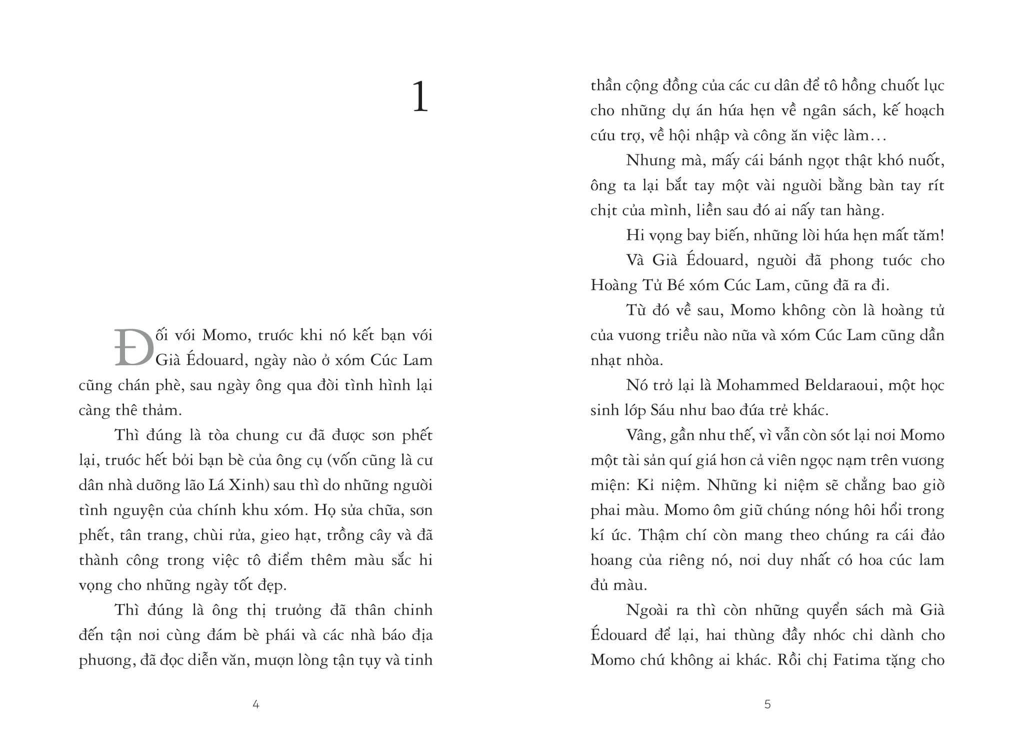 momo, cư dân xóm hoa mào gà - Ảnh 3