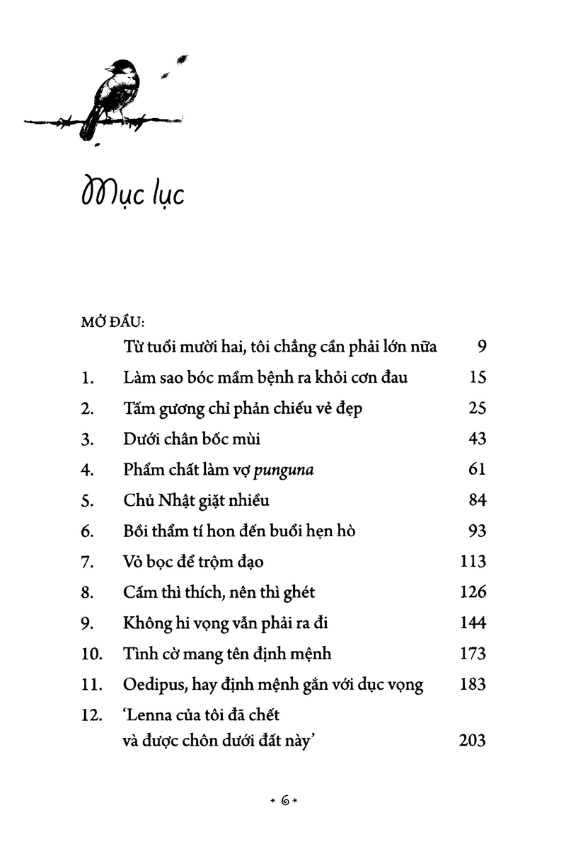 Món Quà Từ Cánh Chim - Ảnh 3