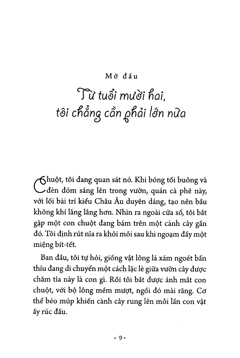 Món Quà Từ Cánh Chim - Ảnh 5