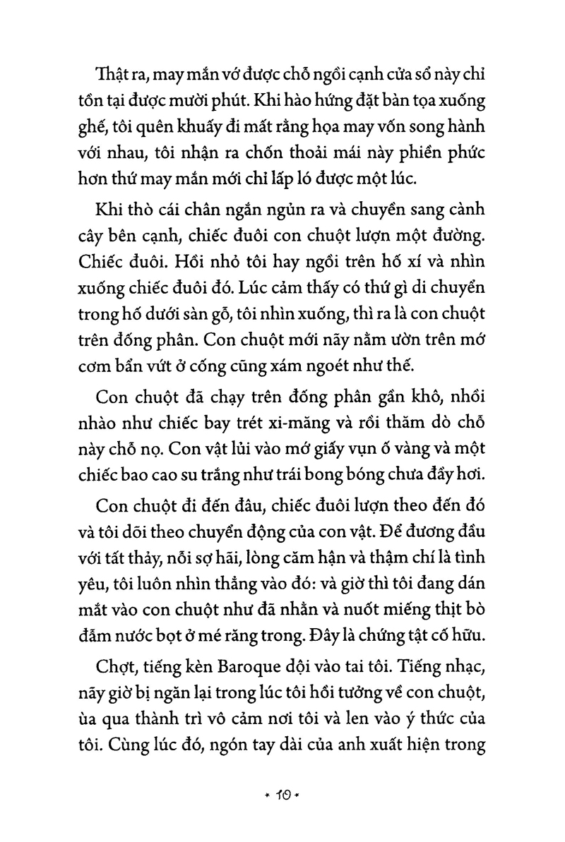 Món Quà Từ Cánh Chim - Ảnh 6